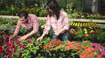 The Value of Business Models | DelftX on edX | Course About Video