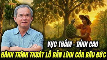 Từ vực thẳm đến đỉnh cao: Bầu Đức và hành trình 5 năm thoát lỗ cho HAGL.