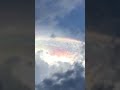 Polar stratospheric clouds