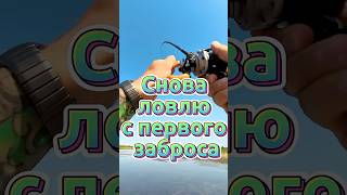Снова поймал с первого заброса 🎣 на этот раз хороший змееголов #рыбалка #змееголов #zharikovfishing
