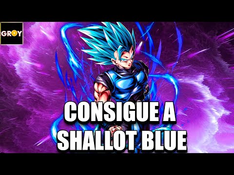 NEW SUPER SAIYAN BLUE SHALLOT TRANSFORMATION CUTSCENE & FULL GAMEPLAY 🔥!!  [Dragon Ball Legends] 