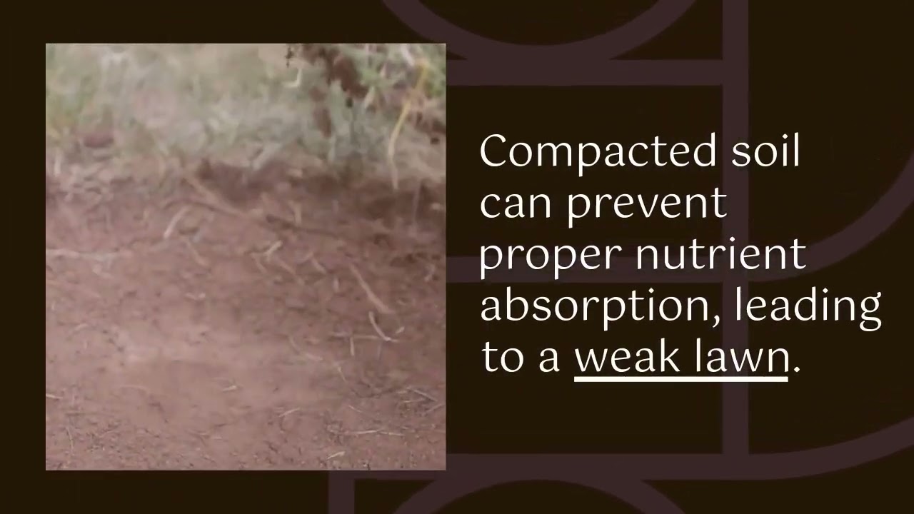 Lawn Care Services in Frisco: Transform Your Outdoor Space with JC's Landscaping LLC