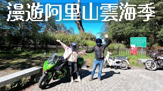 漫遊阿里山雲海季，日出、雲海我全都要！#重機旅行 #Ninja1000 #Gopro9