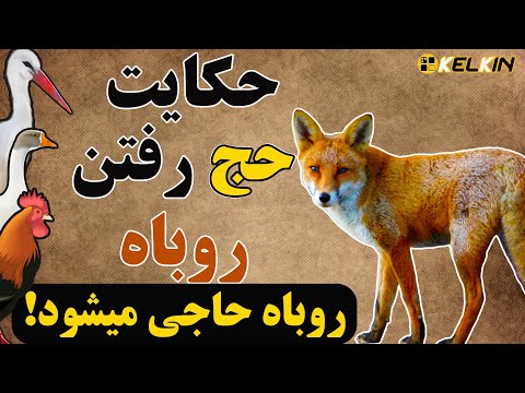 تصویری: معنای ضرب المثل 