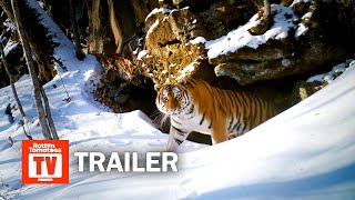 Frozen Planet II Trailer
