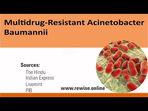 Video: Genomisk Epidemiologi Av Ett Utdraget Sjukhusutbrott Orsakat Av Multidrogresistent Acinetobacter Baumannii I Birmingham, England