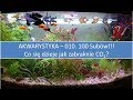 Akwarystyka – 010.  Co się dzieje jak zabraknie CO2 w baniaku ?  !!!100 SUBÓW!!!