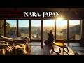 3 Hidden Gems in Japan that will alter your brain chemistry 🇯🇵