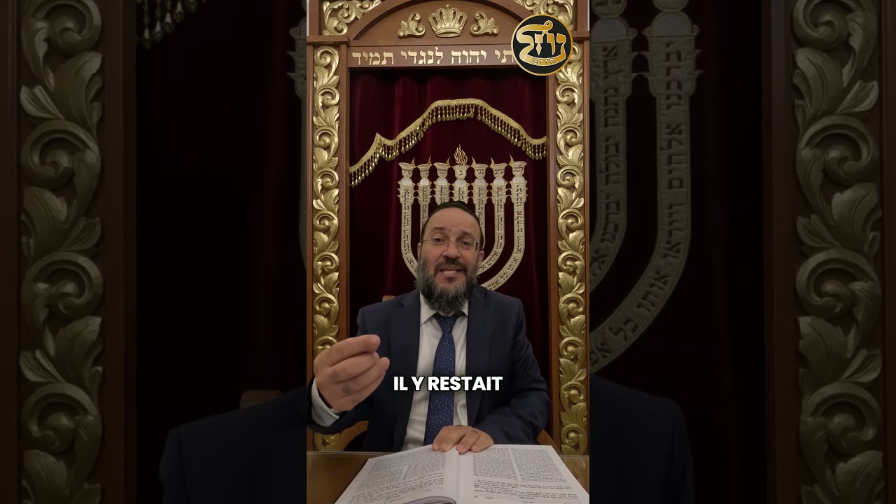 19 - La montée du prix du poisson le #Chabat | Rav Dagani Cohen | Hilkhot Chabat #halakha #torah
