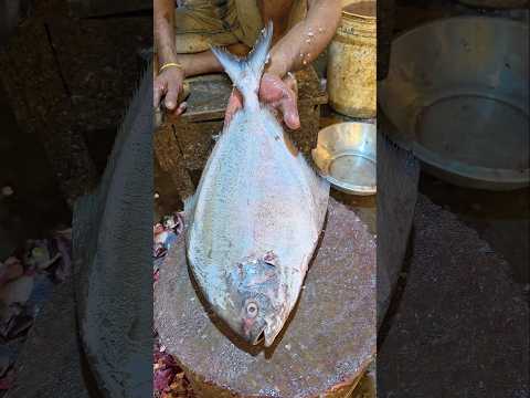 Big Chanda Fish Cutting #shorts