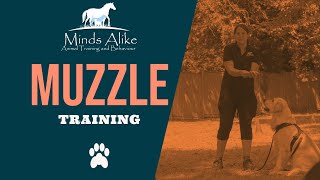 Muzzle Training