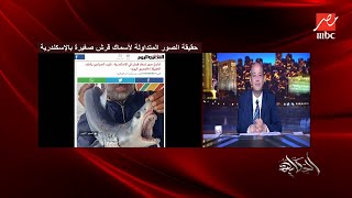 حقيقة الصور المتداولة للعثور على أسماك قرش صغيرة بالإسكندرية .. د. محمد عبدالرازق يوضح