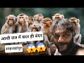 Monkey hi Monkey 🐒  / आधी रात में बंदर ही बंदर 😱 / Monkey / Vlog /Shahjahanpur