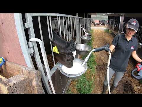 Youtube Farmgirl