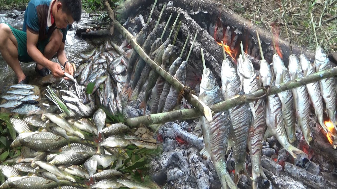 Hunting and Fishing In The Mountains | catch & cook | Yos hav dej noj ntses quav iab 