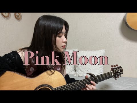 Pink Moon - Nick Drake (cover)