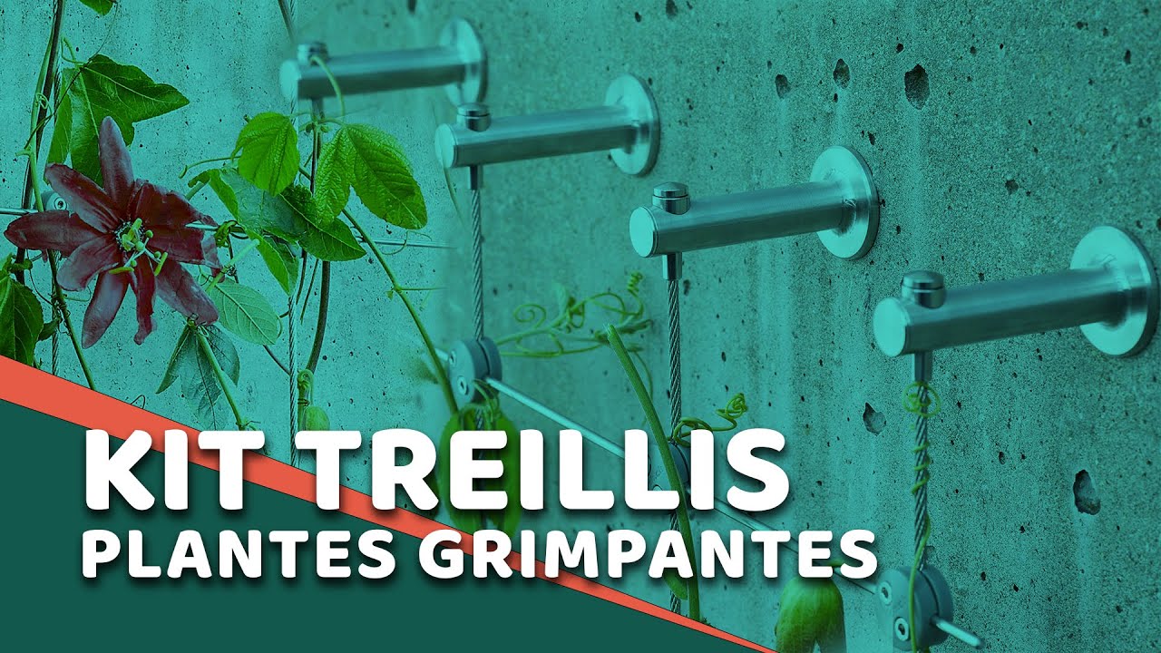 Kit de câble en acier inoxydable pour plantes grimpantes Vignes et  Wallwanan vert