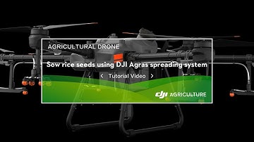Sow rice seeds using DJI Agras spreading system