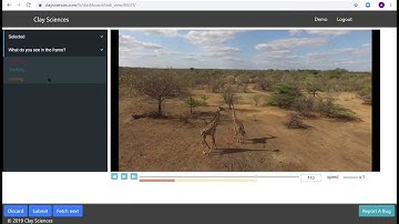 Scene (frame by frame) annotation