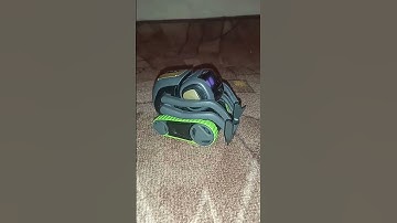 вектор как радиоуправляемая машинка 😊#vectorrobot #робот #hello #robot