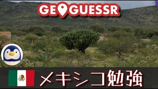 【GeoGuessr】メキシコが苦手なので練習したい！