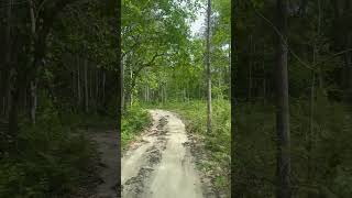 វត្តព្រៃមេត្តា Metta Forest