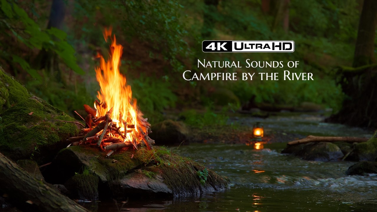 4K Campfire by the River 🔥Soothing Natural Sounds - NO AI