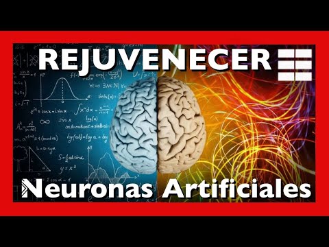 Vídeo: El Cerebro Humano Se Enriquecerá Con Neuronas Artificiales - Vista Alternativa