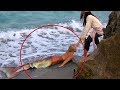 She finds real life mermaid then this happens