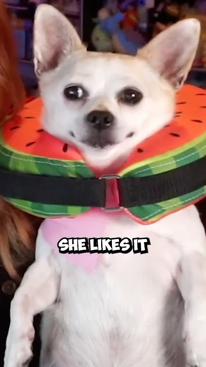She just wants to be a melon