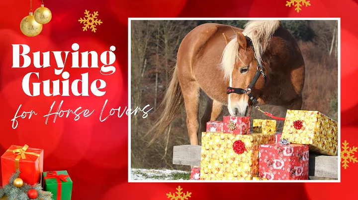 Buyers Guide for Your Horse Lover - 5 Things That ...