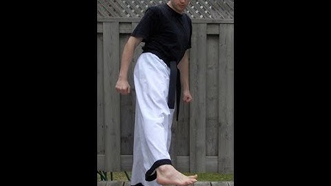 Taekwondo: Hapkido: Foundations: Blocking side kick - front view