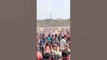 HOW VITIANS CELEBRATE HOLI