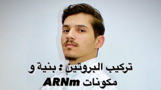 الوحدة الأولى : تركيب البروتين ( الجزء 9 : بنية و مكونات ARNm )