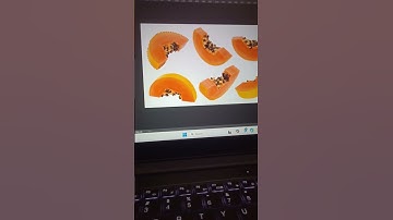 Quick Selection Tool #adobephotoshop#graphicdesign#like#subscribe#youtubeshorts#viralvideo#share