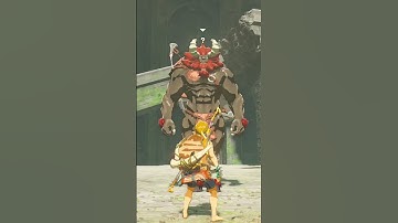 Did You Know That in Zelda Botw? (Part 2) #shorts