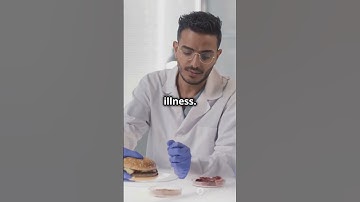 E. coli - A Tiny Threat