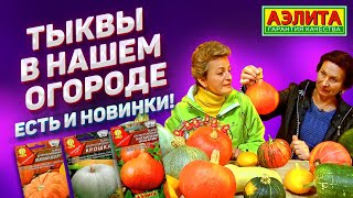 ТЫКВА и УХОД ЗА НЕЙ - Новинки Сортов Тыквы