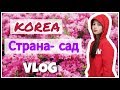 На что похожа Корея? Новые районы+ вечерний вкусный влог ;)