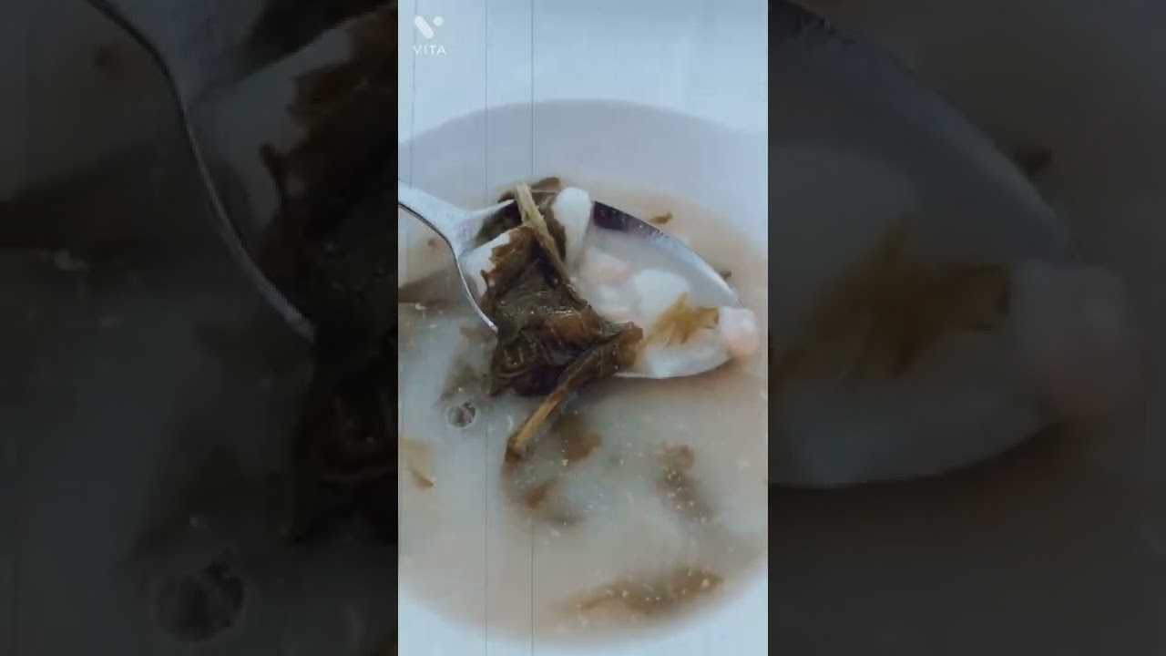 Pulpo a la gallega en A Coruña (La Penela) #pulpo #acoruña #galicia #mariapita