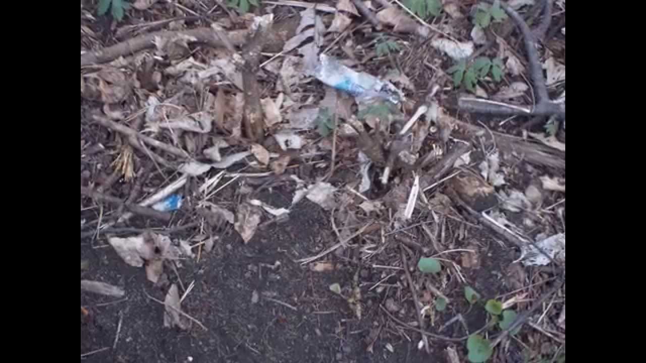 Redwood Falls, MN - YouTube