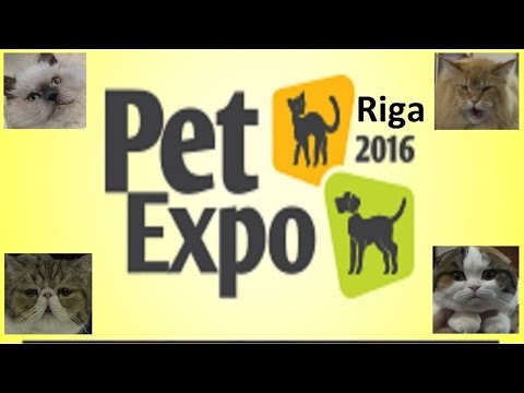 PetExpo 2016 Riga international pets and zoo industry exhibition