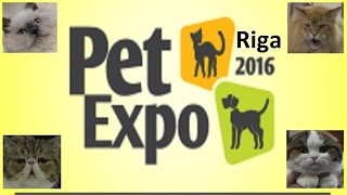 PetExpo 2016 Riga international pets and zoo industry exhibition PetExpo 2016 Riga international pets and zoo industry exhibition