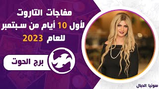 سونيا الحبال | تاروت برج الحوت أول عشر أيام من شهر سبتمبر(أيلول)2023 قراءة عامة و نصيحة التاروت لك