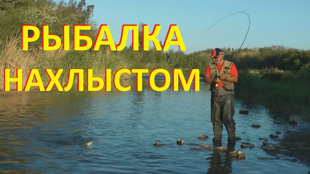рыбалка на мелкой речке видео