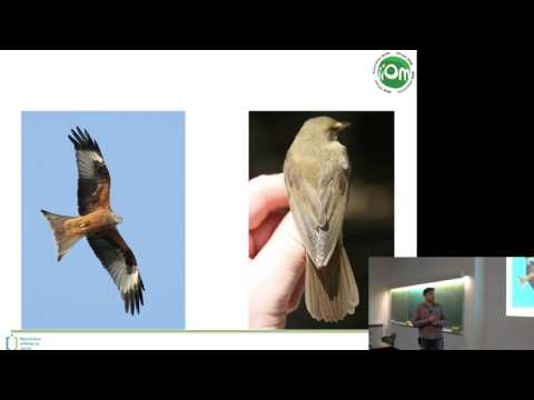 Predavanje BIOM - Vedran Lucić - “Kako i gdje promatrati ptice”