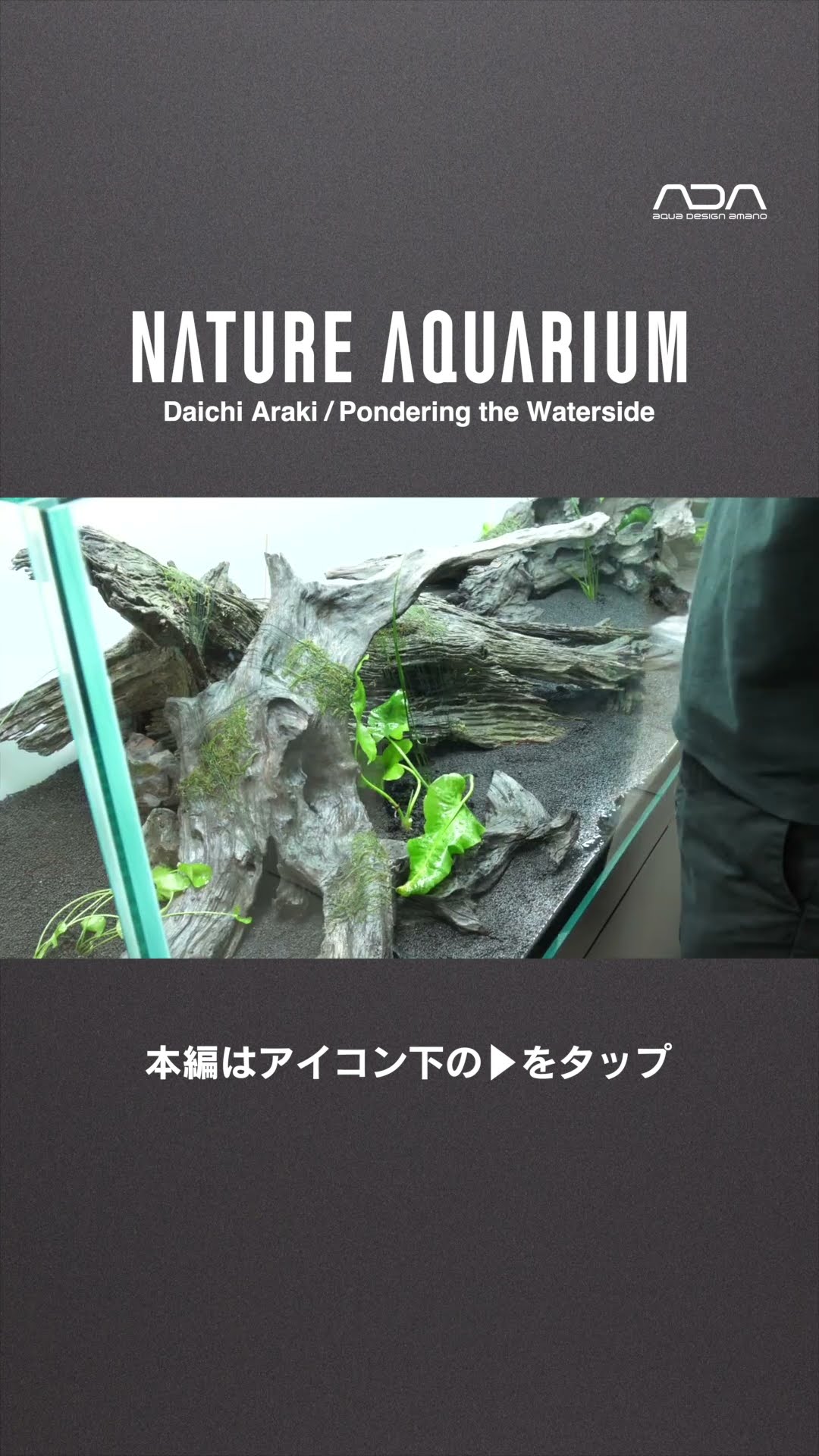 ADAview] Pondering the Waterside 水辺を想う -W1800mm