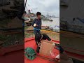 Sukses Pemasangan Starlink Gen 3 di Kapal Batubara Leo Power 128 Sungai Musi Palembang
