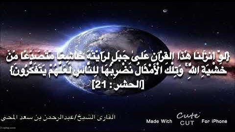 اواخر سورة الحشر- القارئ الشيخ/ عبدالرحمن بن سعد المحي - ماشاءالله تلاوة تقشعر لها الابدان😭