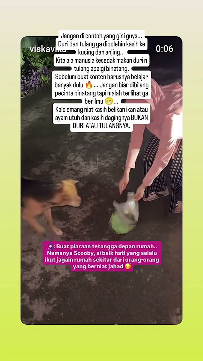 kalo pecinta binatang khususnya kucing dan anjing pasti tau mereka ga boleh dikasih duri dan tulang!
